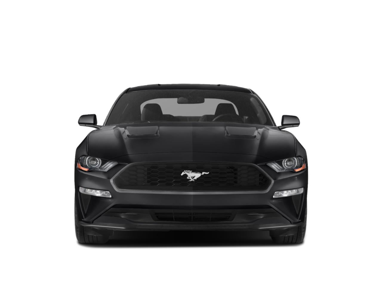 2019 Ford Mustang EcoBoost Fastback