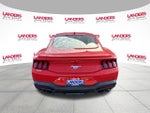 2024 Ford Mustang EcoBoost Fastback