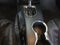 2016 Ford Mustang 2dr Conv EcoBoost Premium