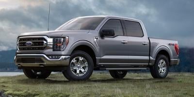 2023 Ford F-150 King Ranch 4WD SuperCrew 5.5' Box