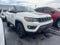 2020 Jeep Compass Trailhawk 4x4