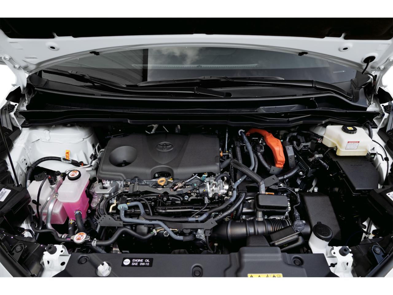 2025 Toyota Sienna Limited AWD 7-Passenger (GS)