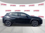 2022 Lexus UX 250h AWD