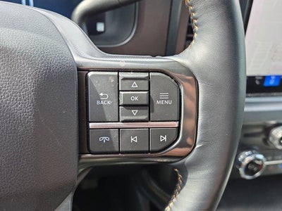 2024 Ford Super Duty F-250 SRW Platinum 4WD Crew Cab 6.75' Box