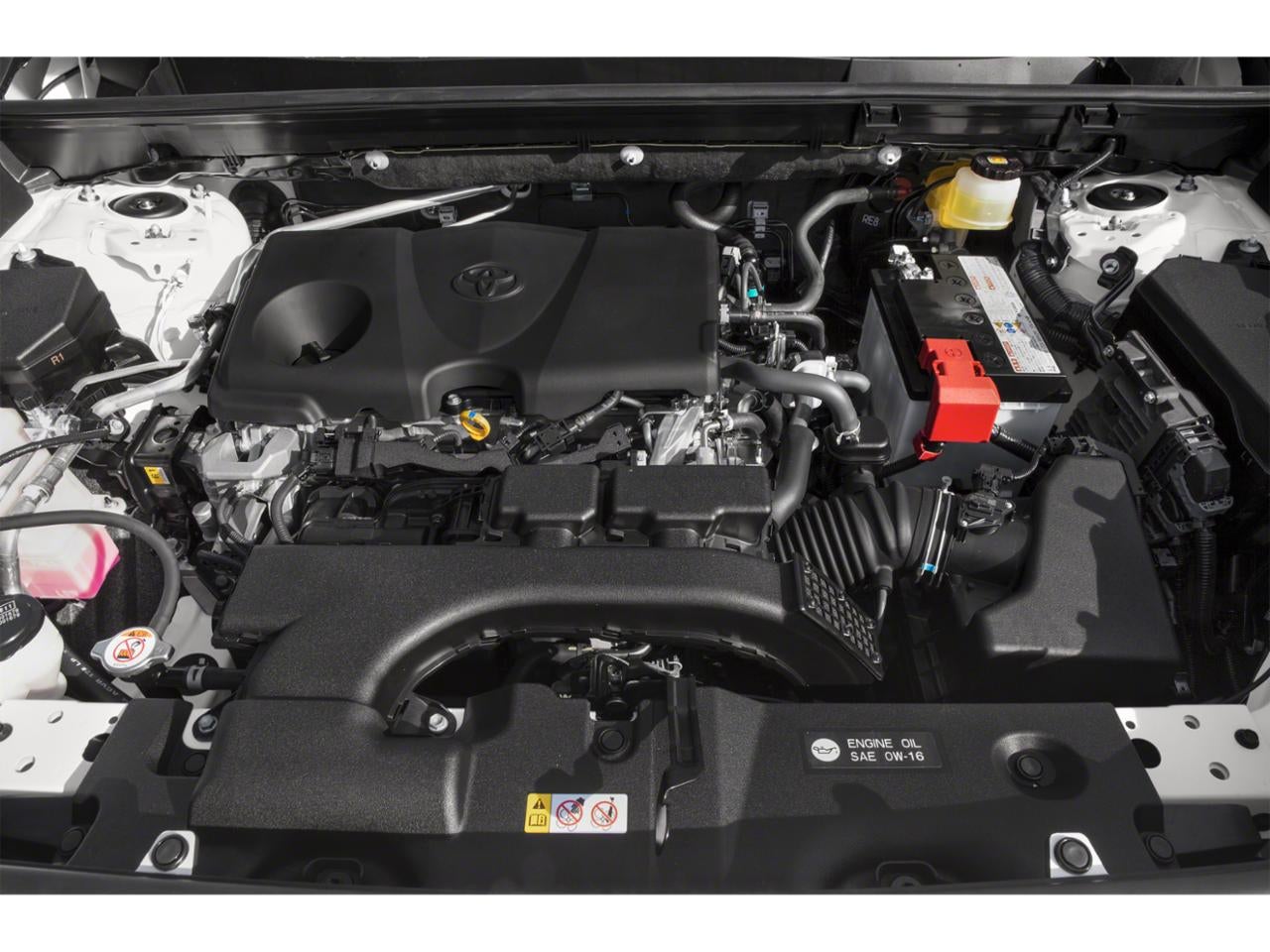 2019 Toyota RAV4 XLE FWD (Natl)
