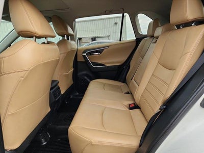 2019 Toyota RAV4 Limited FWD (Natl)