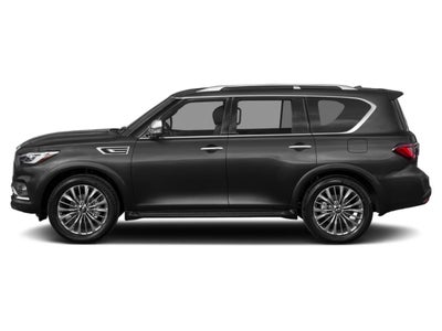 2024 INFINITI QX80 SENSORY RWD