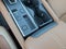 2026 Nissan Pathfinder Platinum 2WD