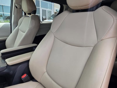 2023 Toyota Sienna XLE FWD 7-Passenger (Natl)