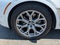 2024 BMW X7 xDrive40i Sports Activity Vehicle