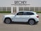 2019 BMW X3 sDrive30i Sports Activity Vehicle