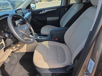 2020 Ford Escape SE FWD